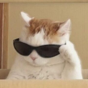a red and white cool cat with sunglasses